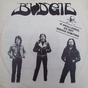Budgie - If Swallowed, Do Not Induce Vomiting cover art