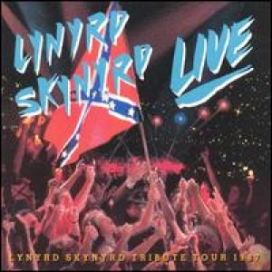 Lynyrd Skynyrd - Southern By The Grace Of God: Tribute Tour 1987 cover art