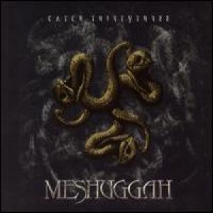 Meshuggah - Catch 33 cover art