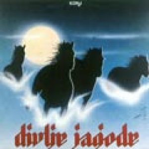 Divlje Jagode - Konji cover art