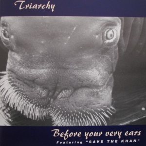 Triarchy - Before Your Very Ears cover art