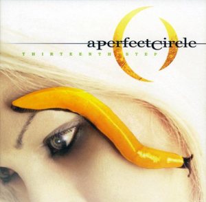 A Perfect Circle - Thirteenth Step cover art
