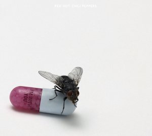 Red Hot Chili Peppers - I'm With You cover art