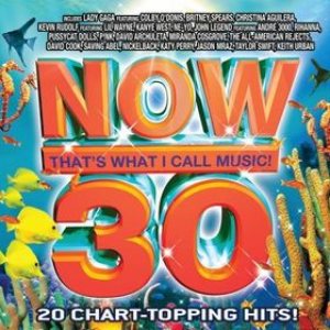Various Artists - Now That's What I Call Music! 30 (US) cover art