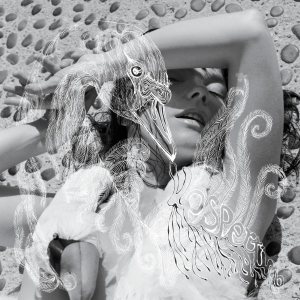 Björk - Vespertine cover art