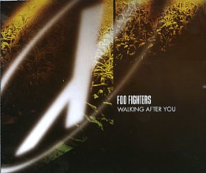 Foo Fighters - Walking After You cover art
