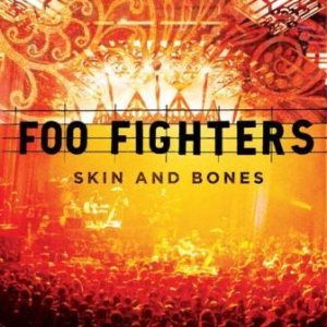 Foo Fighters - Skin and Bones cover art