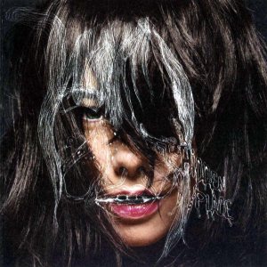 Björk - Hidden Place cover art