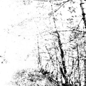 Agalloch - The White cover art