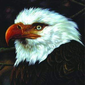 Mogwai - The Hawk Is Howling cover art