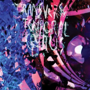 Animal Collective - Transverse Temporal Gyrus cover art