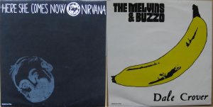 Nirvana / Melvins - Nirvana / Melvins cover art
