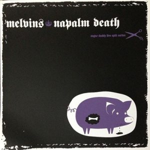 Melvins / Napalm Death - Sugar Daddy Live Split Series 9 cover art