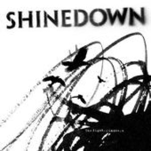 Shinedown - The Sight of Madness cover art