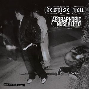 Despise You / Agoraphobic Nosebleed - And on and On... cover art