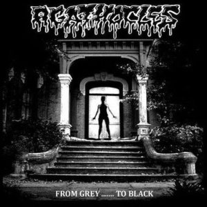 Agathocles - From Grey....... to Black cover art