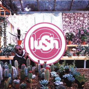 Lush - Lovelife cover art
