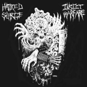 Insect Warfare / Hatred Surge - Insect Warfare / Hatred Surge cover art