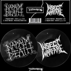Napalm Death / Insect Warfare - Napalm Death / Insect Warfare cover art