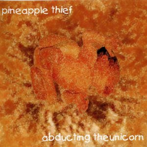 The Pineapple Thief - Abducting the Unicorn cover art