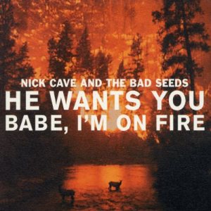 Nick Cave and The Bad Seeds - He Wants You / Babe I'm on Fire cover art