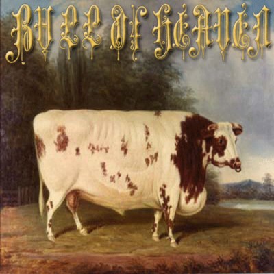 Bull of Heaven - 210: Like a Wall in Which an Insect Lives and Gnaws cover art