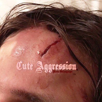 Nicole Dollanganger - Cute Aggression cover art