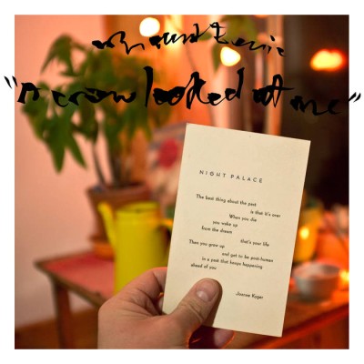 Mount Eerie - A Crow Looked at Me cover art