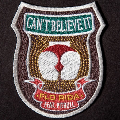 Flo Rida / Pitbull - Can't Believe It cover art