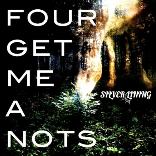 Four Get Me A Nots - Silver Lining cover art