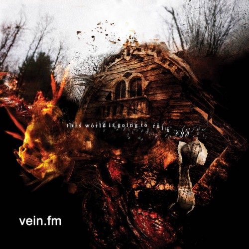 Vein.fm - This World Is Going to Ruin You cover art