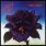 Thin Lizzy - Black Rose : A Rock Legend
