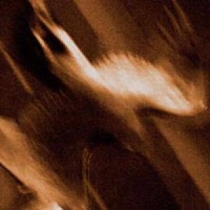 Agalloch - Ashes Against The Grain cover art Agalloch - Ashes Against The Grain cover art