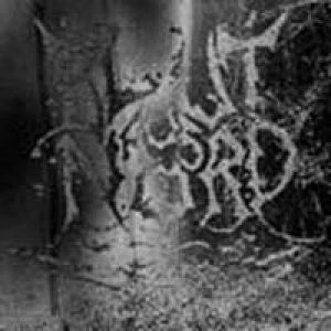 Blut Aus Nord - The Work Which Transforms God cover art
