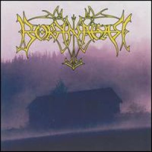 Borknagar - Borknagar cover art