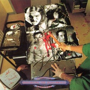 Carcass - Necroticism: Descanting the Insalubrios cover art Carcass - Necroticism: Descanting the Insalubrios cover art