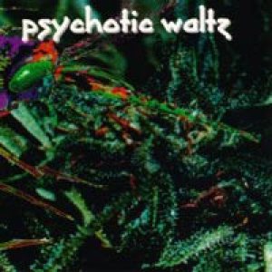 Psychotic Waltz - Mosquito cover art