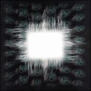 Tool - Ænima cover art