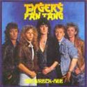 Tygers of Pan Tang - The Wreck-age cover art