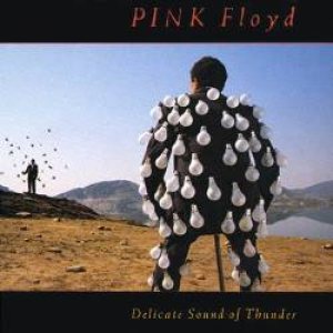 Pink Floyd - Delicate Sound of Thunder cover art