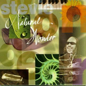 Stevie Wonder - Natural Wonder cover art