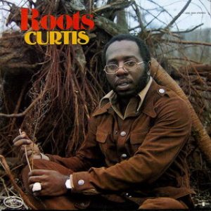 Curtis Mayfield - Roots cover art