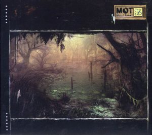 못 (Mot) - 비선형 (Non-Linear) cover art