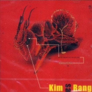 김사랑 (Kim Sarang) - Nanotime cover art