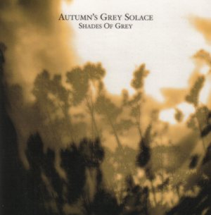 Autumn's Grey Solace - Shades Of Grey cover art