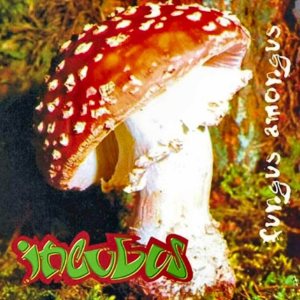 Incubus - Fungus Amongus cover art