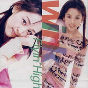 Wink - Flyin´High cover art