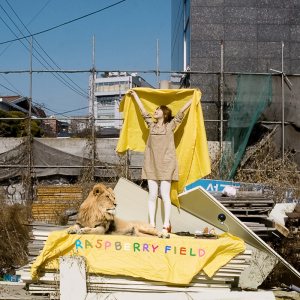 Raspberry Field - 토요일 오후에 cover art