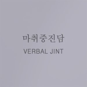 Verbal Jint - 마취중진담 cover art