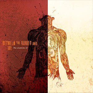 Between the Buried and Me - The Anatomy Of cover art Between the Buried and Me - The Anatomy Of cover art